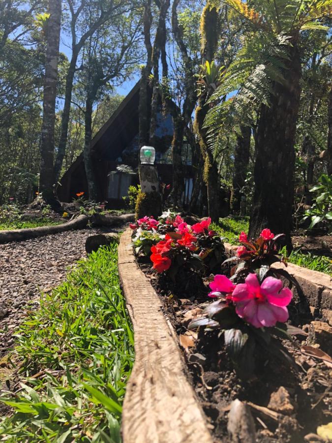 A Cabana Sao Chico São Francisco de Paula 外观 照片